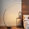 New Vision Modern Curve Floor Lamp