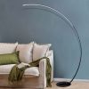 New Vision Modern Curve Floor Lamp
